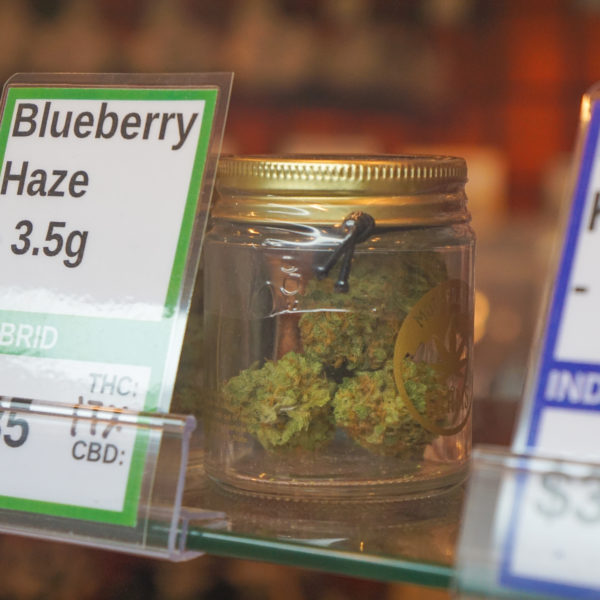 A Greener Today - Shoreline Website