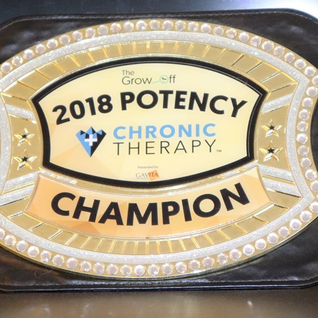 Chronic Therapy - Cortez Website