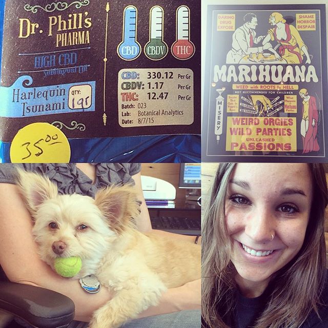 MediGreen Collectives Website