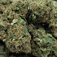 Swin Dispensaries Website