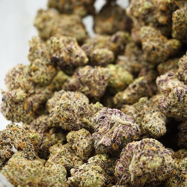 Diego Pellicer - Denver Website