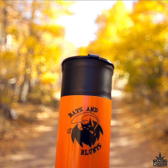 Collective Supply Website