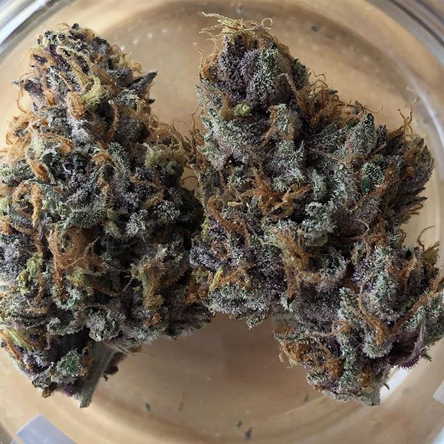 Mynt - North Reno Website