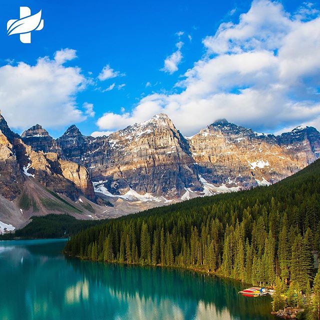 Natural Health Services - Calgary Website