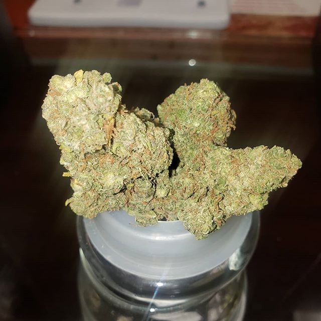 Stone Age Pharmacy Los Angeles Website