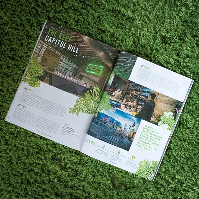 The Reef - Bremerton Website