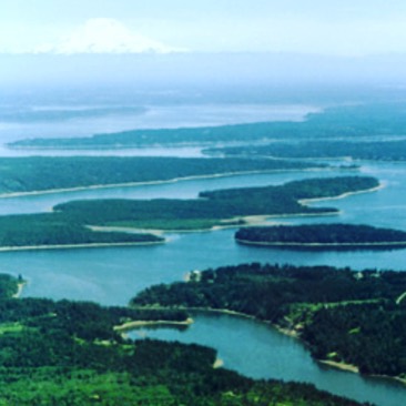 Elevation: Squaxin Tribe Retail Marijuana Website