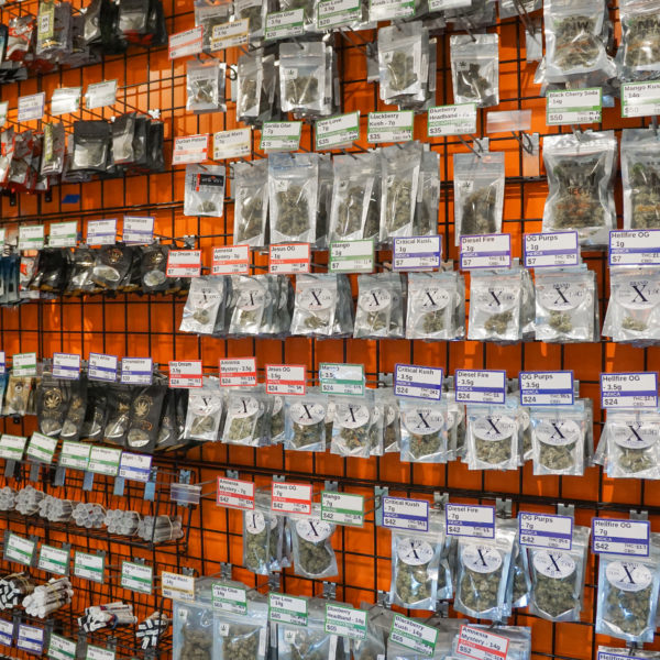 A Greener Today - Shoreline Website