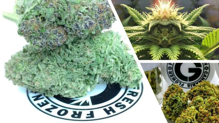 Kushman's - Lynnwood Website