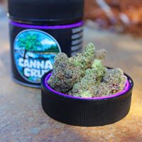California WeedBlog Website