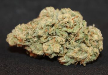 Green Fellas Website