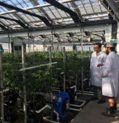 Ionization Labs Website