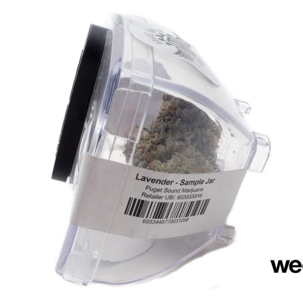 A Greener Today - Lynnwood Website