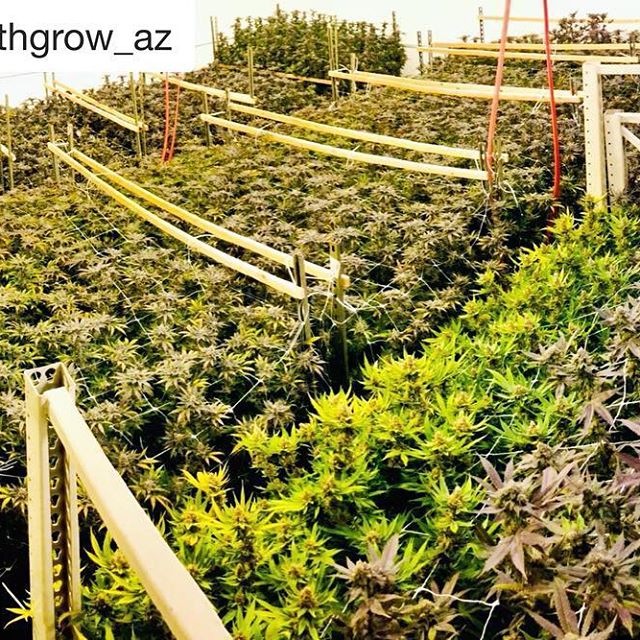 Earth's Healing South Website