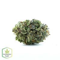 Cannawholesalers Website