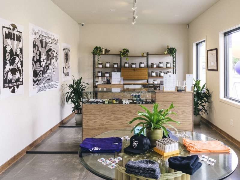 Electric Lettuce - Overlook Website