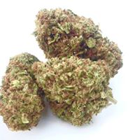 Foothill Grove Nursery Website