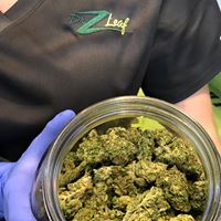 Dr. Z Leaf Website