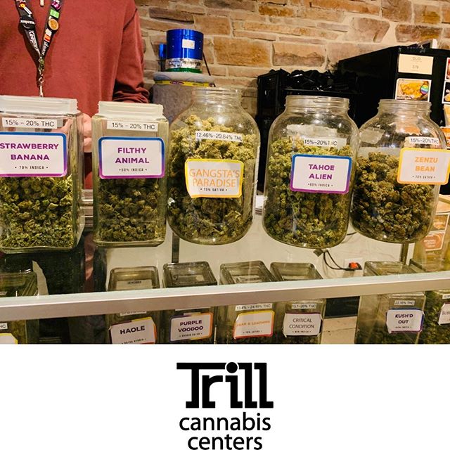 Trill Alternatives - MEDICAL Website