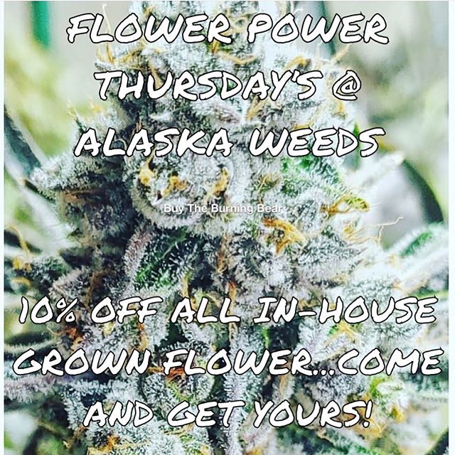 Alaska Weeds of Anchorage Website