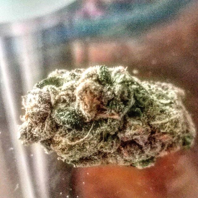 Canna Couriers Website