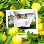 The Bakeréé Website