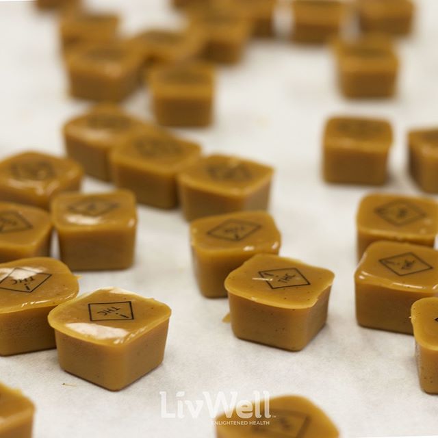 LivWell - Springfield Website