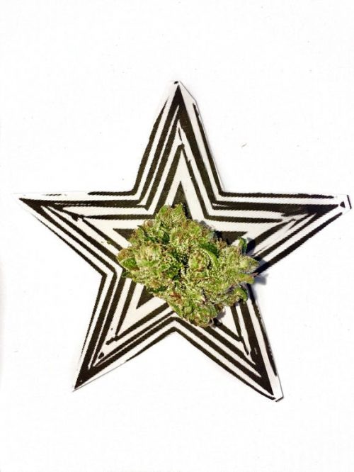 One Love Delivery Website