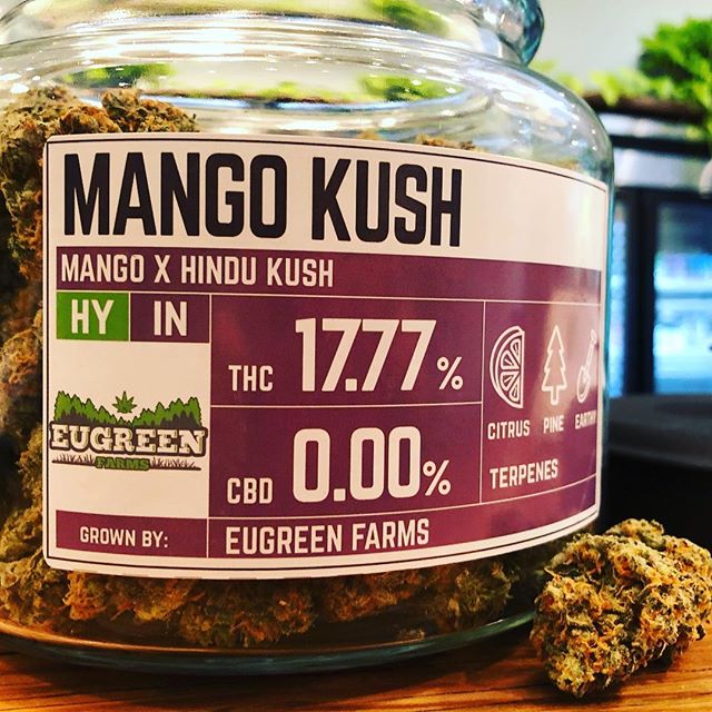 Five Zero Trees Cannon Beach Website