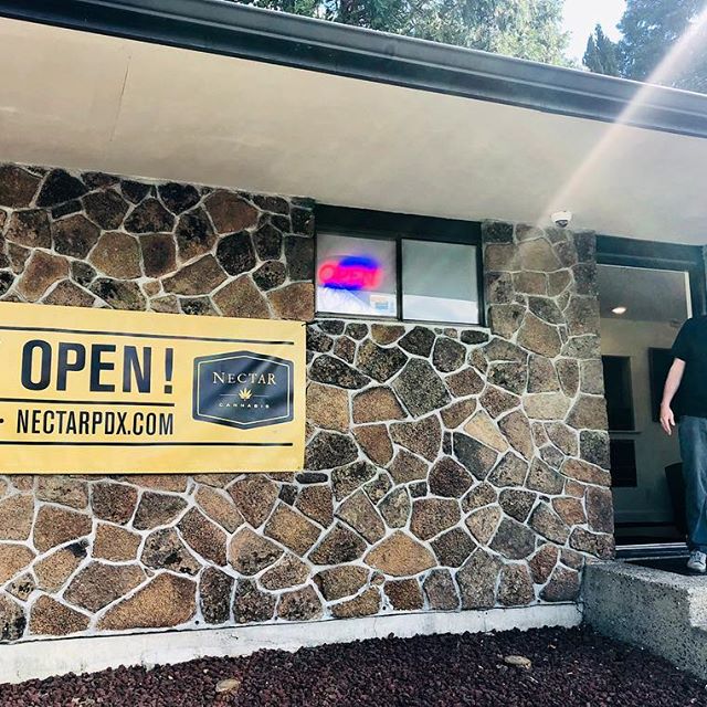 Nectar - Salem Website