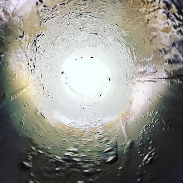 Apeks Super Critical Systems Website