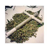 Road Runner Co - Oakland Website