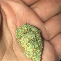 LoudPack Farms Website