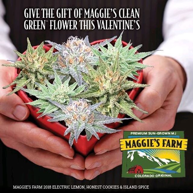 Maggie's Farm in Manitou Springs Website