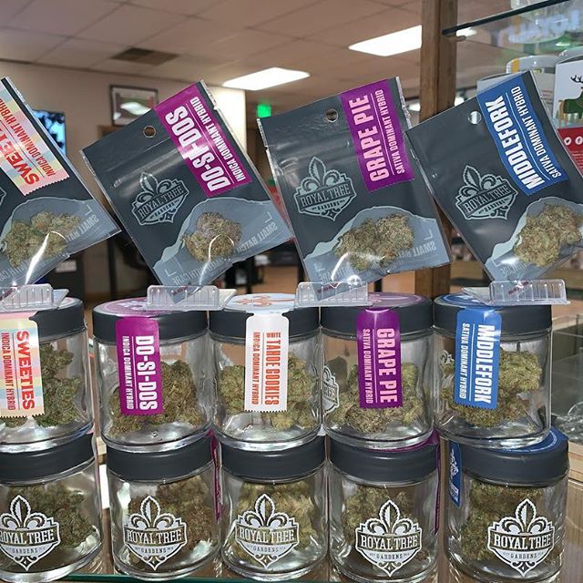 Kush21 - Pullman Website