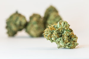 The Vth LMNT Hillsboro Website