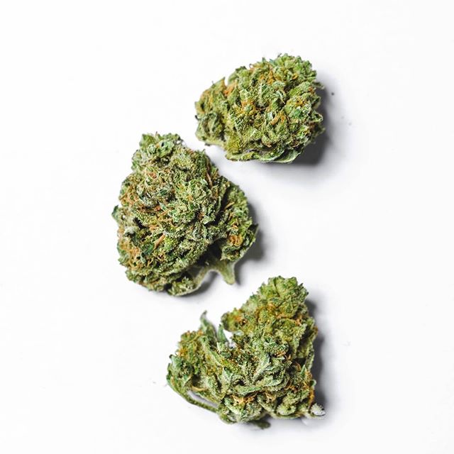 Cultivate Recreational Website