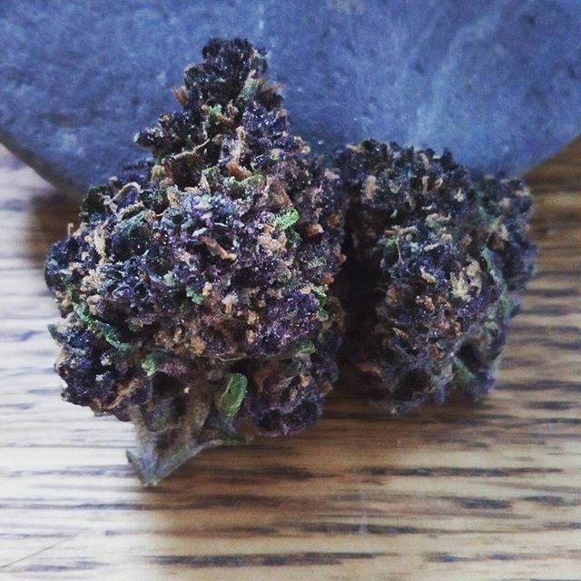 Budlandia - Division St. Website