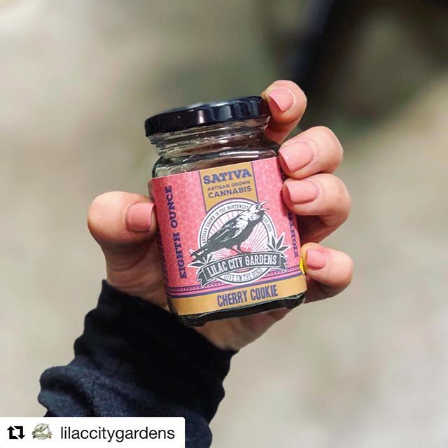 Cinder - Spokane Valley Website