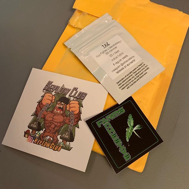 Better Buds of Maine Website