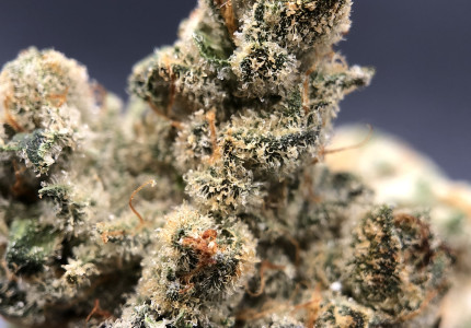 PurLife - Montgomery Website