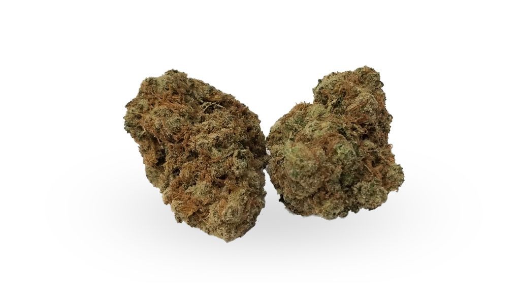 Nature's Medicines - Fall River Website