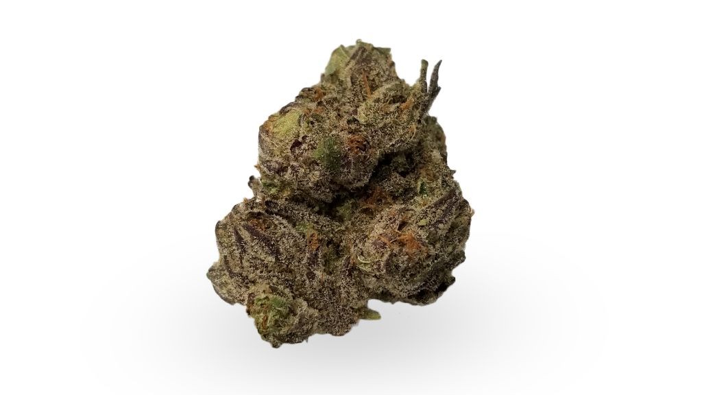 Nature's Medicines - Fall River Website