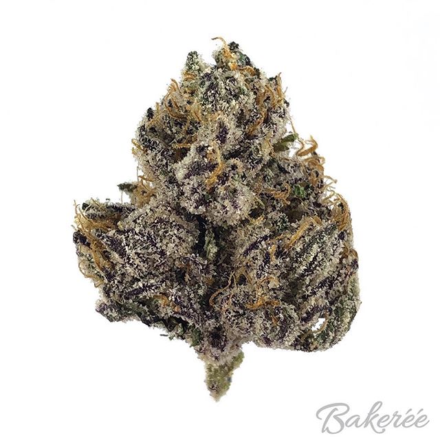 The Bakeréé Website