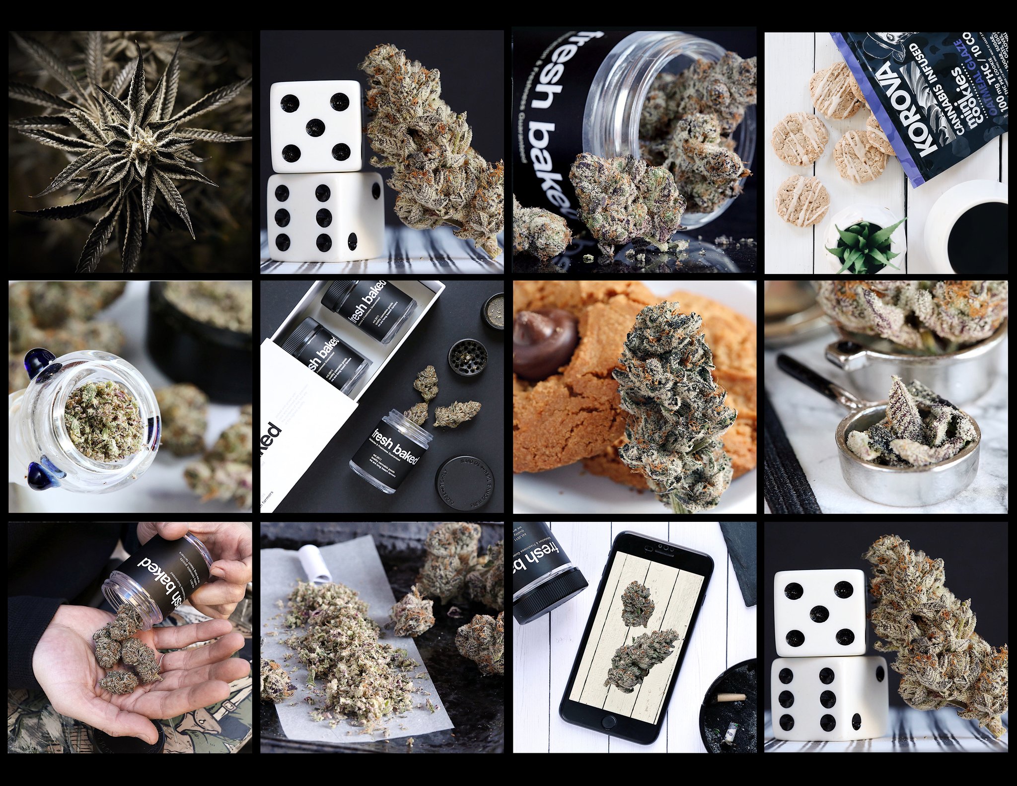 The High Rise Website