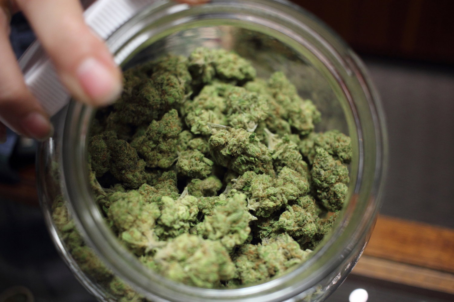 Bigfoot Bud Co. Website