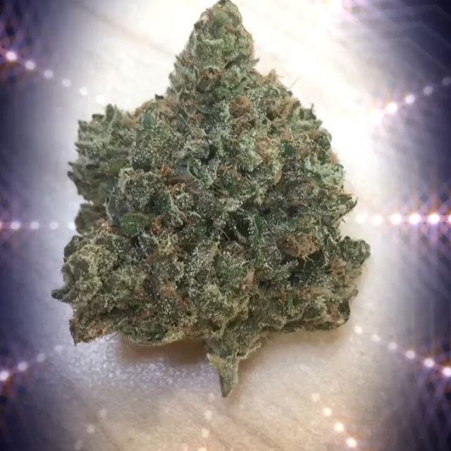 Harvest House Nederland Website