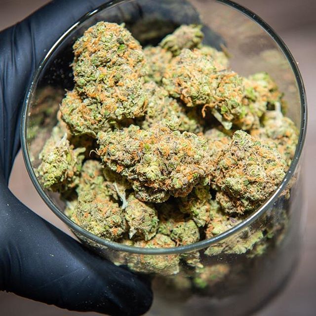 Nirvana Center - Prescott Valley Website