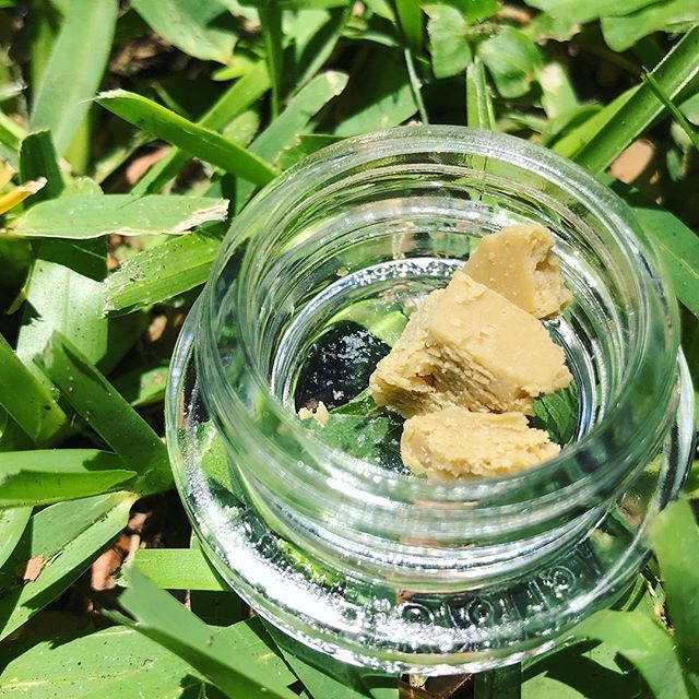 Trulieve - Dadeland Website