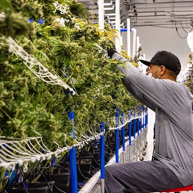 Shango Win Sivers "Airport" Website